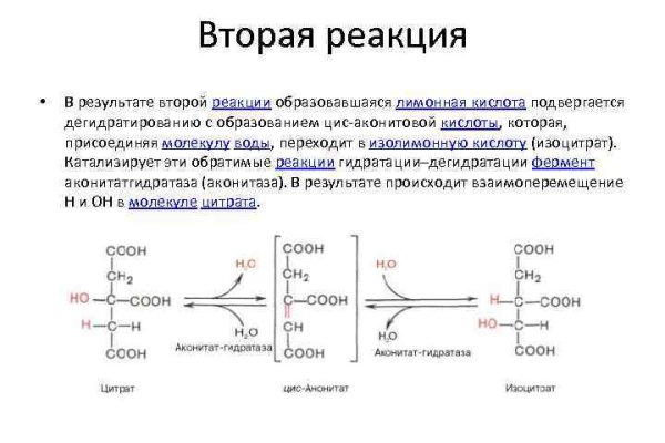 Кракен сайт 1kraken me вход